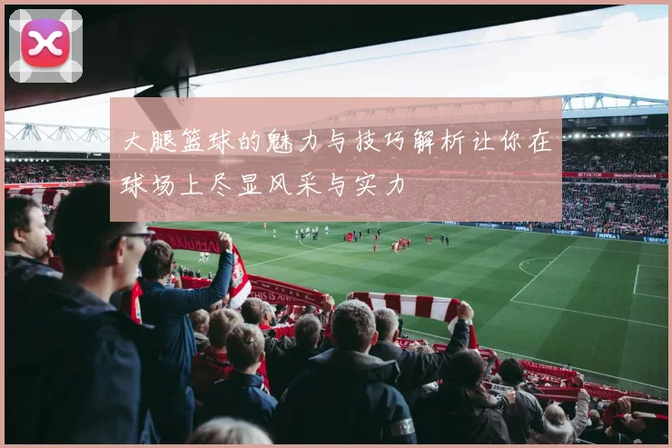 大腿篮球的魅力与技巧解析让你在球场上尽显风采与实力