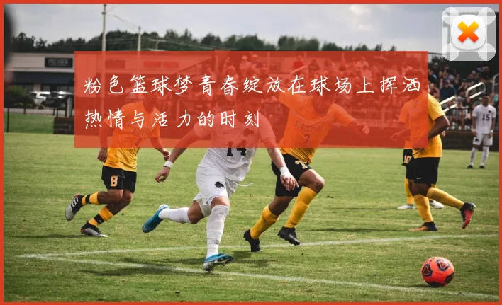 粉色篮球梦青春绽放在球场上挥洒热情与活力的时刻