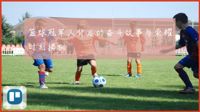 篮球冠军人背后的奋斗故事与荣耀时刻揭秘
