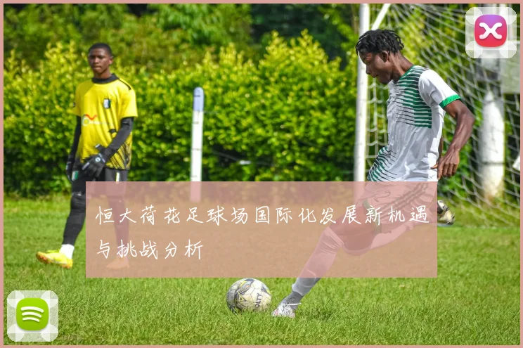 恒大荷花足球场国际化发展新机遇与挑战分析