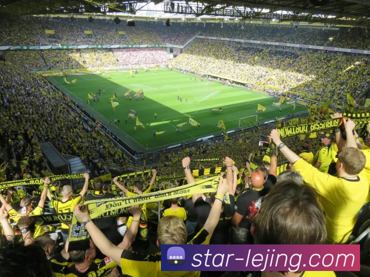 乐竟平台服务体系